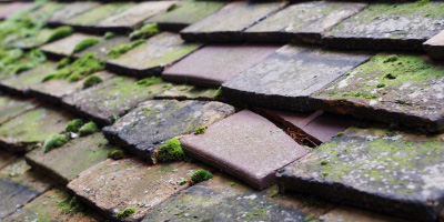 Tydd St Giles roof repair costs